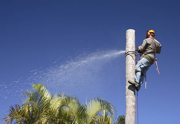 Lawn Irrigation Installation and Maintenance in St Paul, MN